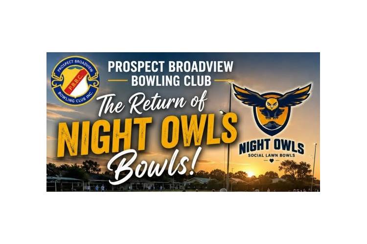 NIGHT OWLS